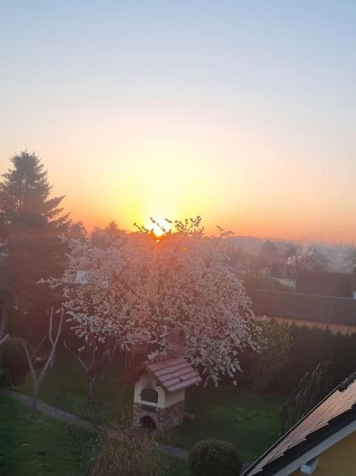Ferienwohnung *Zur Weinbergstrasse* Lauta Exterior foto