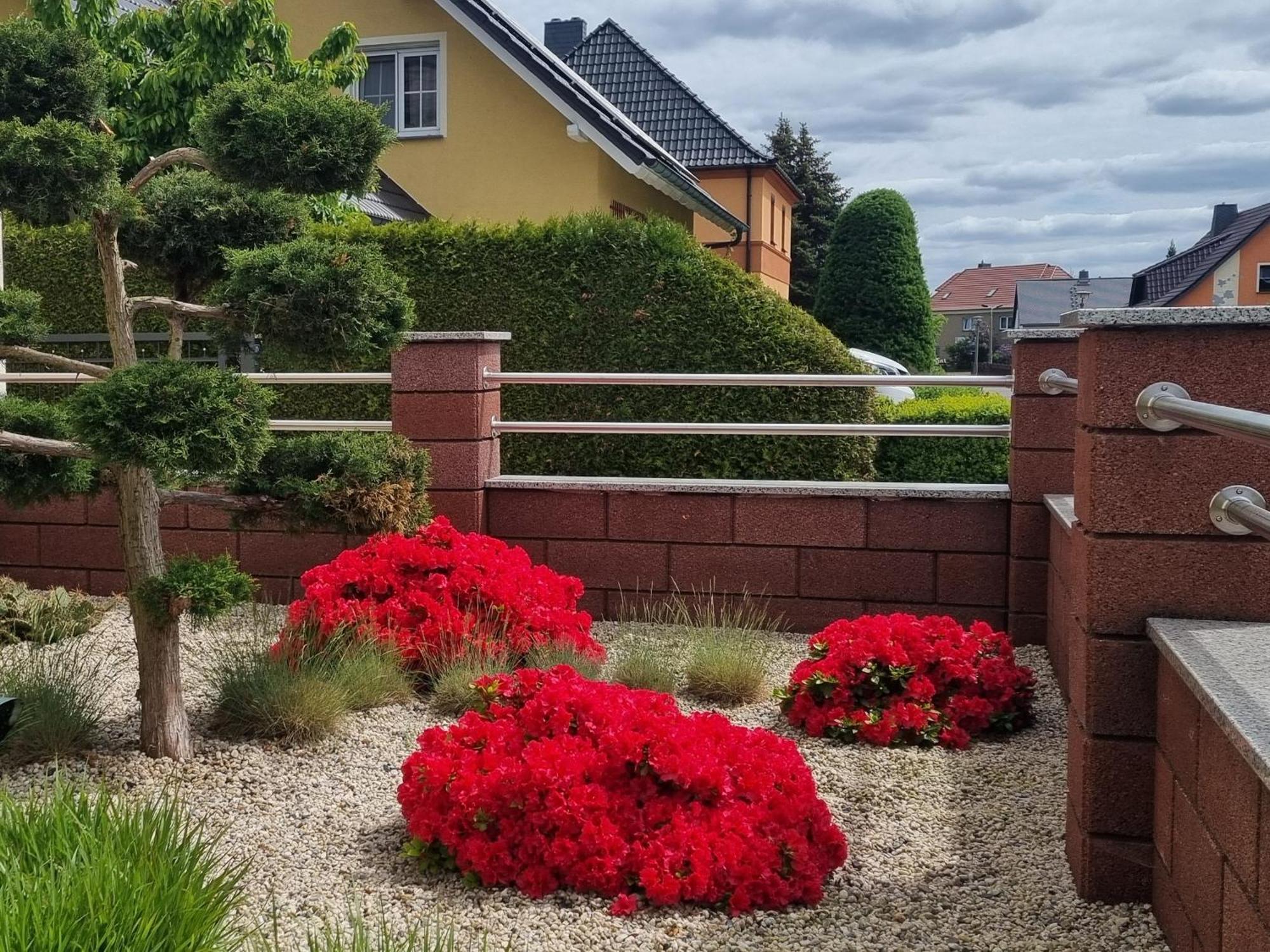 Ferienwohnung *Zur Weinbergstrasse* Lauta Exterior foto